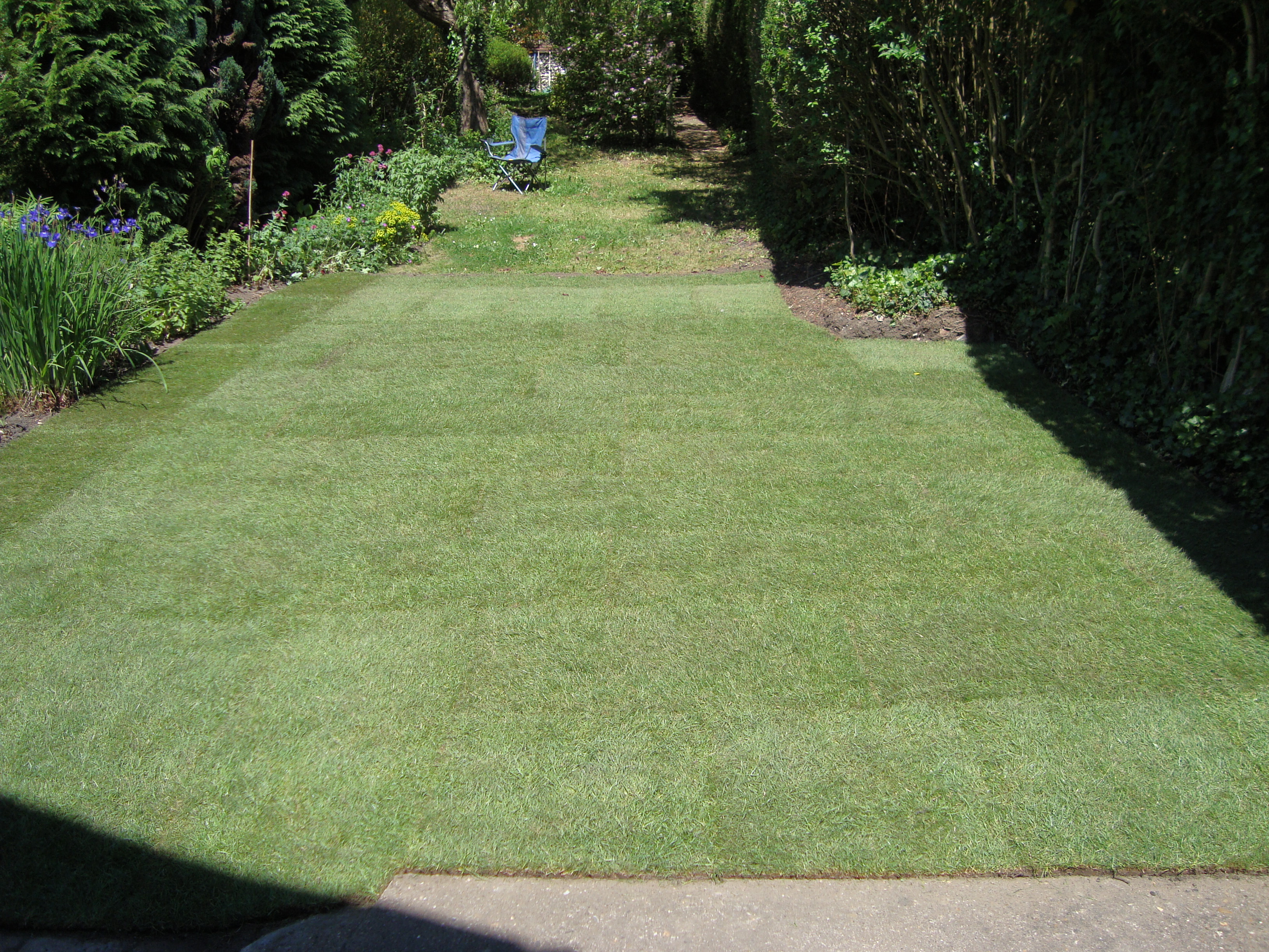 lawn1