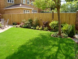 planted fence